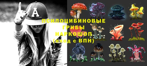 ПСИЛОЦИБИНОВЫЕ ГРИБЫ Волосово