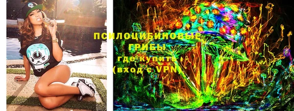 ПСИЛОЦИБИНОВЫЕ ГРИБЫ Волосово